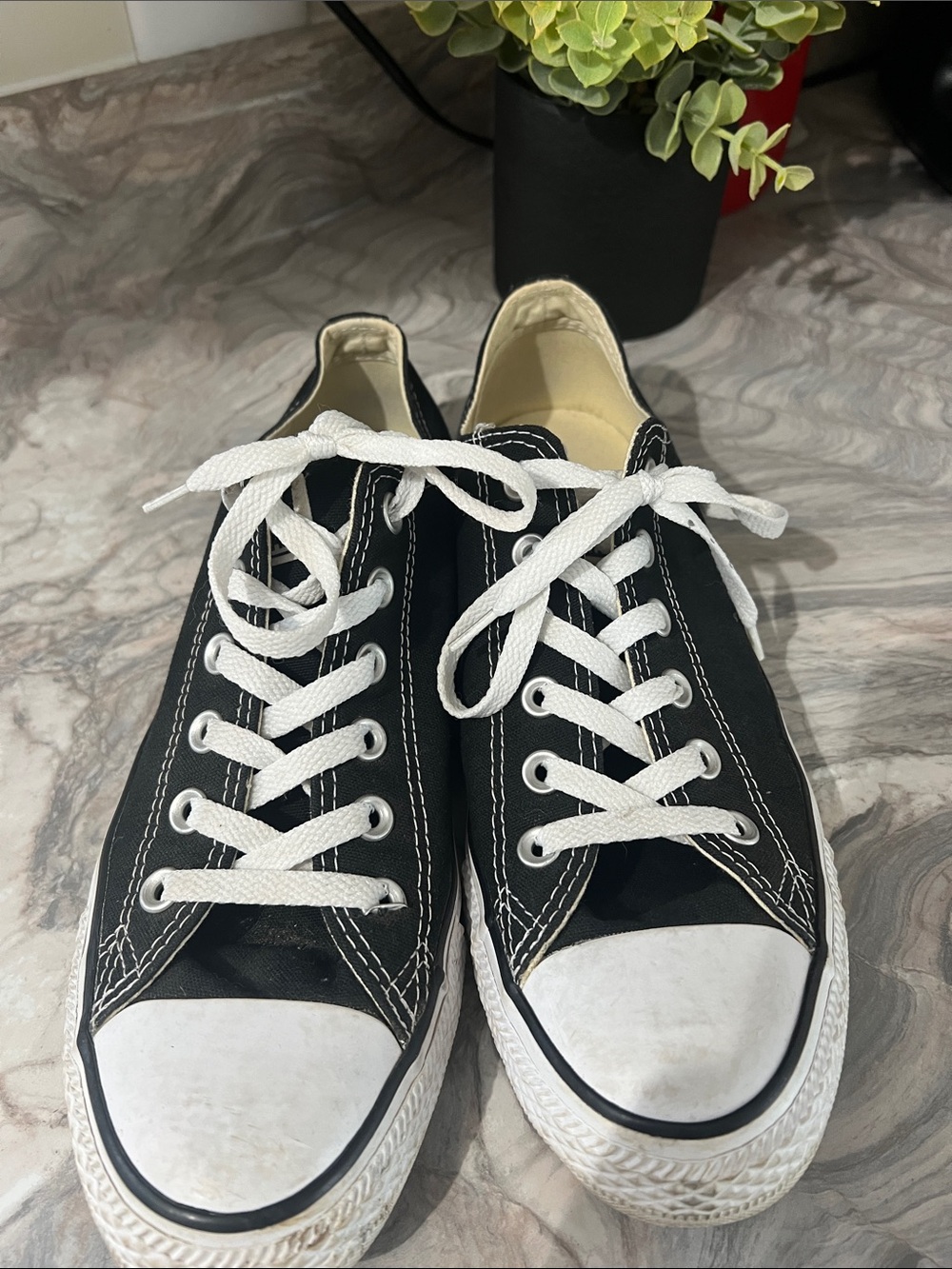 Converse Classic Black Canvas Low-Top Sneakers with White Laces